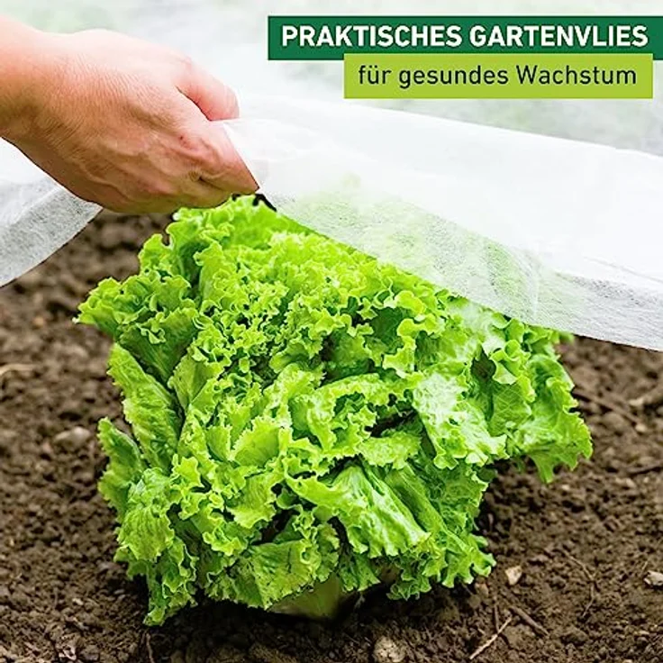 Windhager Gartenvlies, Gartenfolie, Abdeckvlies, Wachstums-Vlies, steigert den Ernte-Ertrag, weiß, 10 x 1,5 m, 17 g/m², 06767 – Bild 3