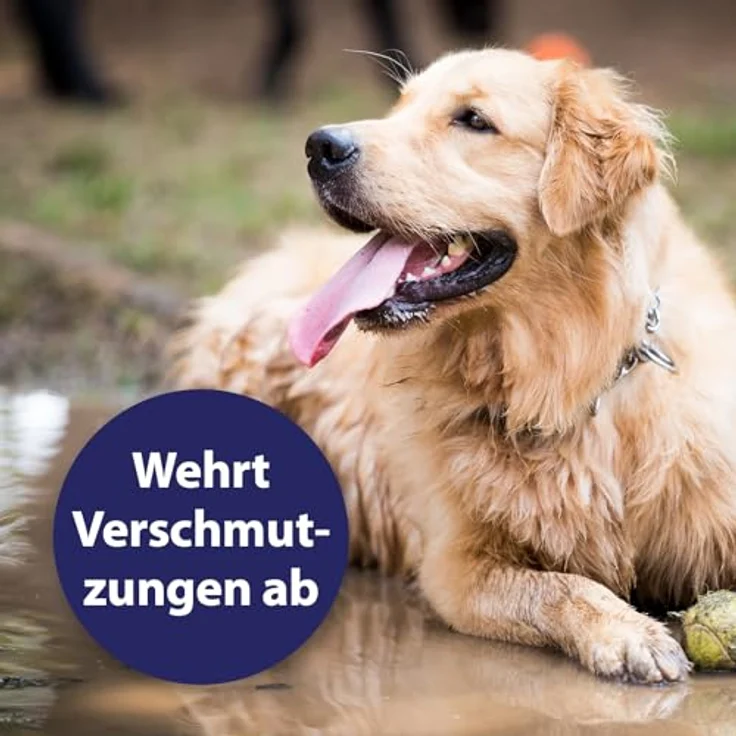 Canosept Fellpflege Spray, 250 ml, für glänzendes und entfilztes Hundefell, alkoholfrei – Bild 4