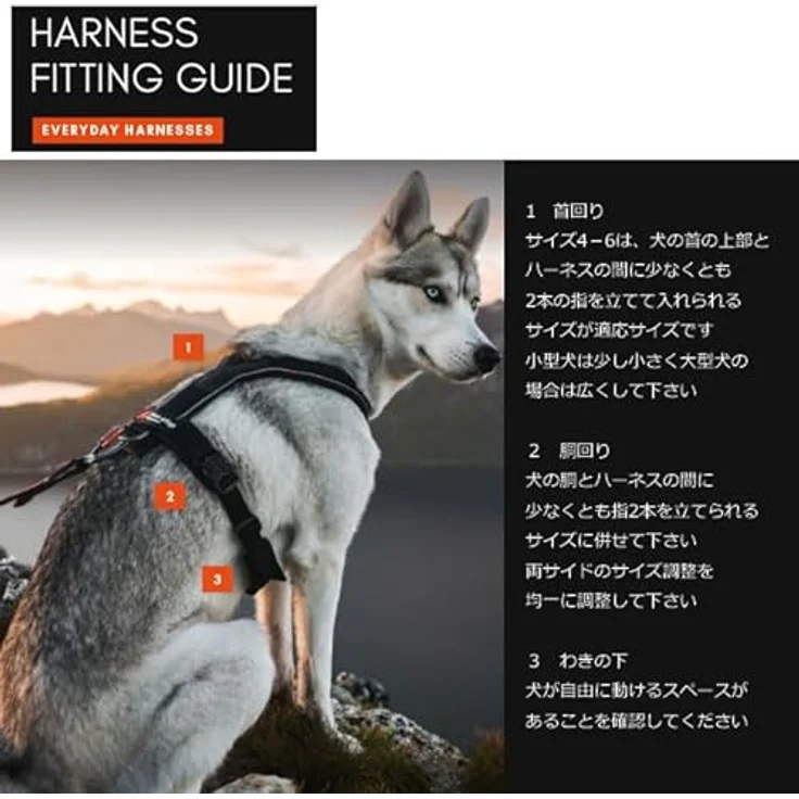 Non-stop dogwear Line Harness 5.0, Ergonomisches Führ- und Alltagsgeschirr für Hunde, Farbe: Grün, Größe: G 5 – Bild 5