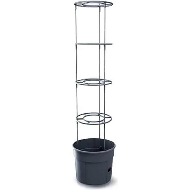 Prosperplast Anzuchttopf für Tomaten mit Rankhilfe, wetterfest und UV-beständig aus robustem Kunststoff, anthrazit, ideal für Garten und Terrasse (34,5 cm) – Bild 1