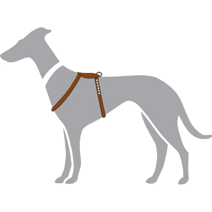 Hunter Tierbedarf Hunde-Geschirr Round & Soft Canadian Up schwarz, leichtes Premiumleder-Geschirr für kleine Hunde – Bild 2