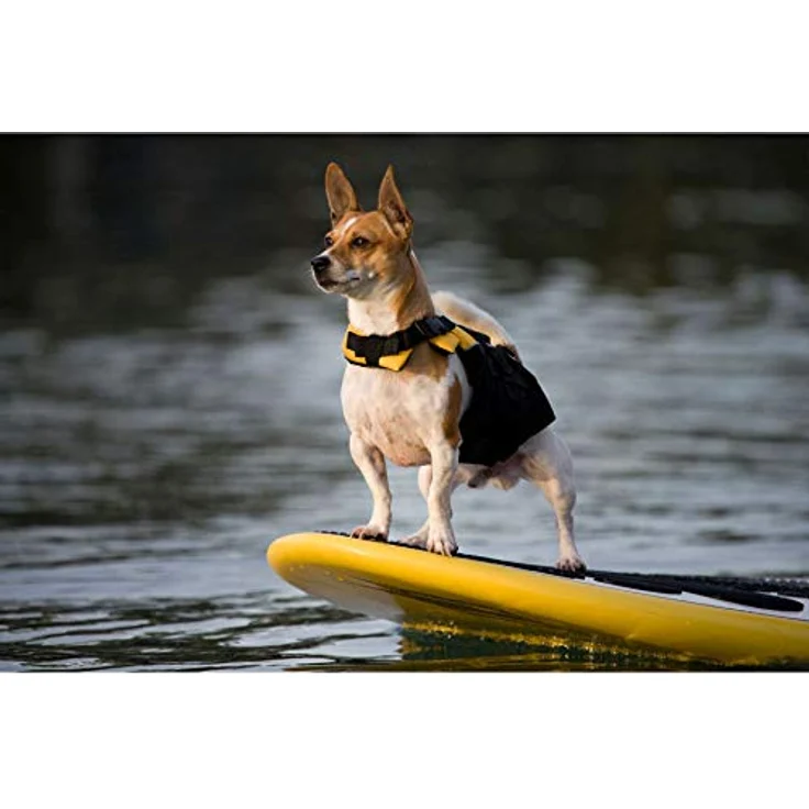 EzyDog Schwimmweste XS, verstellbare Rettungsweste für Hunde in leuchtenden Farben, geeignet für Wasser- und Landaktivitäten – Bild 4