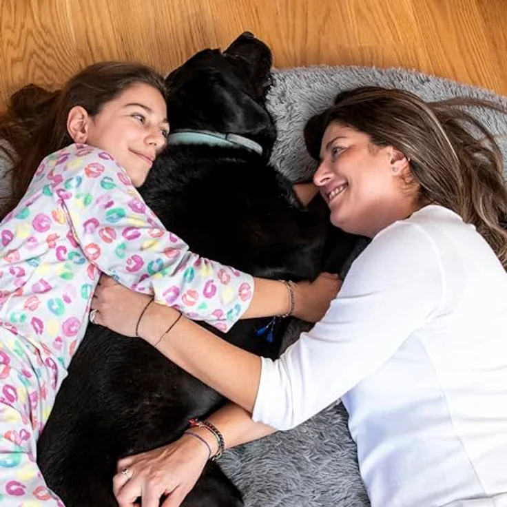 InnovaGoods Cloft Hundebett, großes Antistress-Hundebett aus Polyestergewebe, grau, mit abnehmbarem und waschbarem Bezug – Bild 3