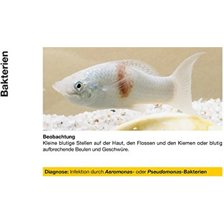 sera baktopur 50 ml - Arzneimittel für Fische gegen bakterielle Infektionen (z. B. Maul- und Flossenfäule), Medizin fürs Aquarium – Bild 5