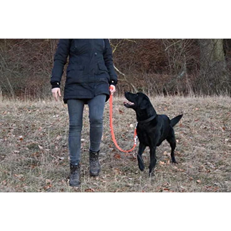 Activity4Dogs Hundeleine für große Hunde, reflektierend Signal-orange, 3-fach verstellbar, 2m lang, Made in Germany – Bild 5