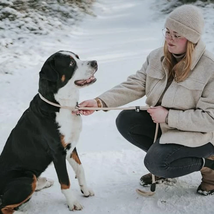 Hunter Retriever-Hunde-Leine Freestyle beige 8-120 – Bild 6