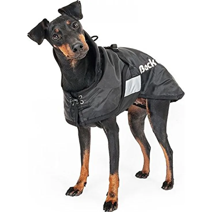 Back on Track Winter coat 34 cm - (734004110621) (Hundemantel), grau