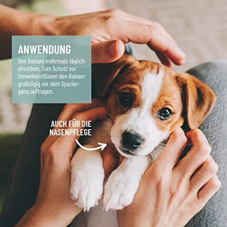 ReaVET Pfotenbalsam Hund 120ml für weiche Hundepfoten - Natürliche Hunde Pflege mit Sheabutter, Kokosöl & Bienenwachs - Pfotenpflege Katze, Pfotenschutz Creme - Zubehör Winter & Sommer – Bild 4