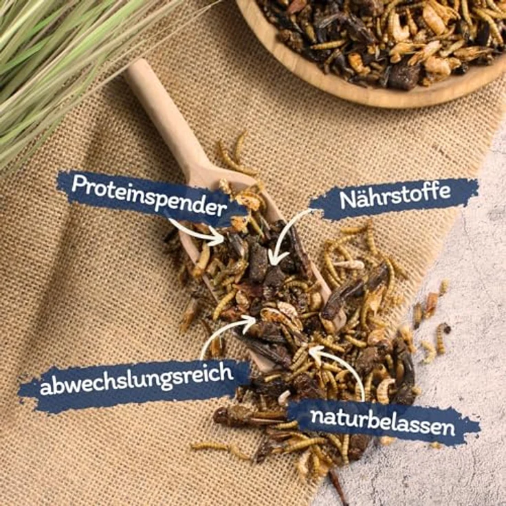 Lyra Pet® Protein Boost Insekten Mix, 1 kg getrocknete Insektenmischung mit 54,7 % Rohprotein, ideal für Vögel, Nager, Fische & Reptilien – Bild 2