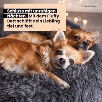 XXL Hundebett Orthopädisch Waschbar Rund Haustierb Produktbild-Vorschau 11