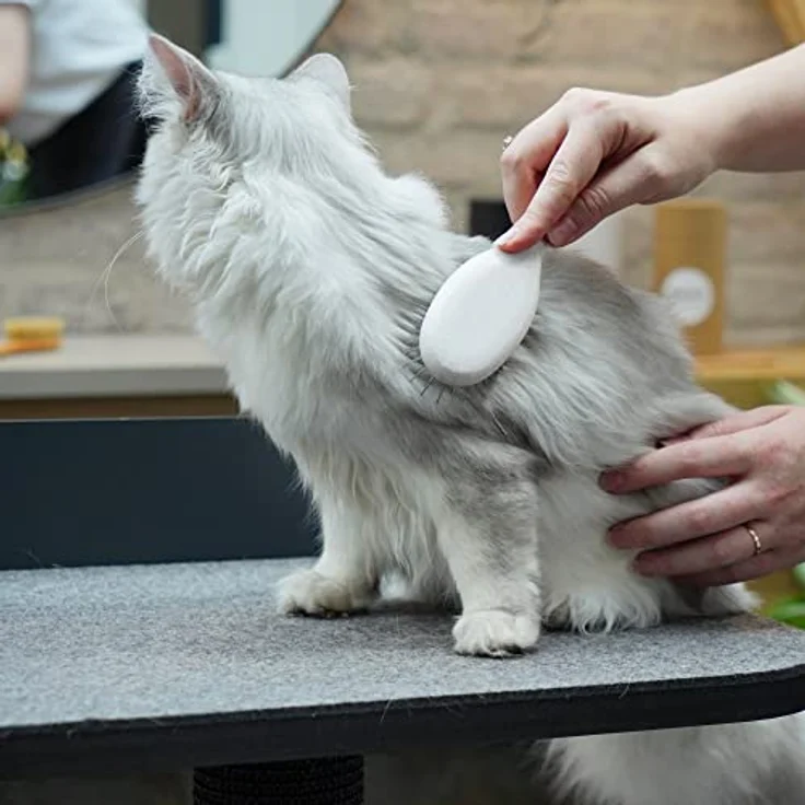 LucyBalu® Katzenbürste Kurzhaar & Langhaar | Fellbürste für Katzen | Unterfellbürste Katze | Katzenkamm zur Fellpflege von Katzen | Tierhaarbürste | Katzenhaarbürste mit Metallborsten & Holzgriff weiß – Bild 4