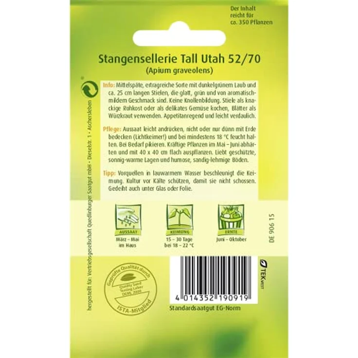 QUEDLINBURGER Stangensellerie, Tall Utah 52-70 – Bild 3