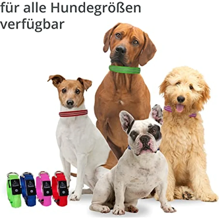 Leuchthalsband für Hunde [Das Original] Leuchtendes LED Hundehalsband zum spazieren gehen auch im Dunkeln- sehr Lange Akkulaufzeit – Sicher Dank hochwertigem Metallverschluss (M, Blau) – Bild 5