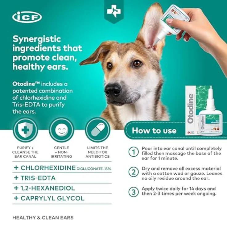 ICF Otodine Headset Lösung für Hunde und Katzen - 100 ml, antibakterielle und antimykotische Ohrreinigungslösung – Bild 3