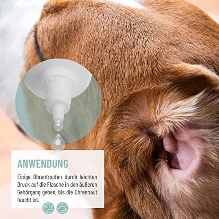 ReaVET TESTURTEIL SEHR GUT 09/23 Ohrentropfen mit kolloidalem Silber 50ml I 25ppm I Für Hunde und Katzen I Bei Ohrentzündungen, Juckreiz und Irritationen, Ohrenpflege, Ohrenhygiene, Gesunde Ohren – Bild 3