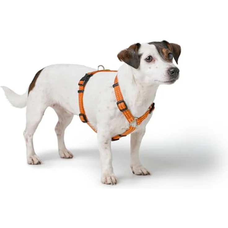 HUNTER Geschirr Tripoli S, kleines Nylon-Geschirr für kleine Hunde mit Klickverschluss und reflektorischen Streifen, orange – Bild 3