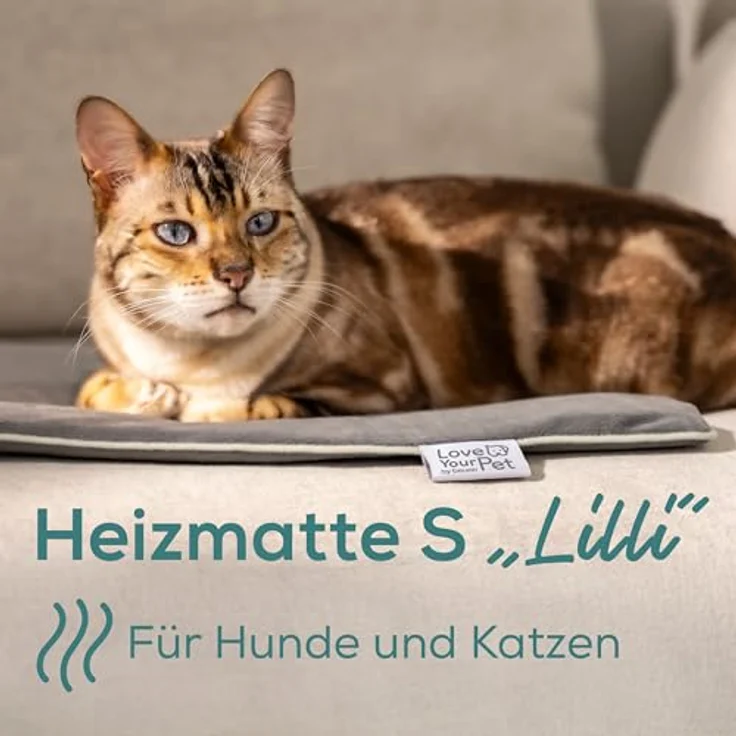 Beurer BEU PP 210 Heizmatte Lilli, elektrische Wärmematte für kleine Hunde und Katzen, waschbarer Bezug, kratzfestes Heizelement, wasserdicht (IPX7), 2 Temperaturstufen, 4 Timer-Einstellungen, 41 x 34 cm – Bild 2