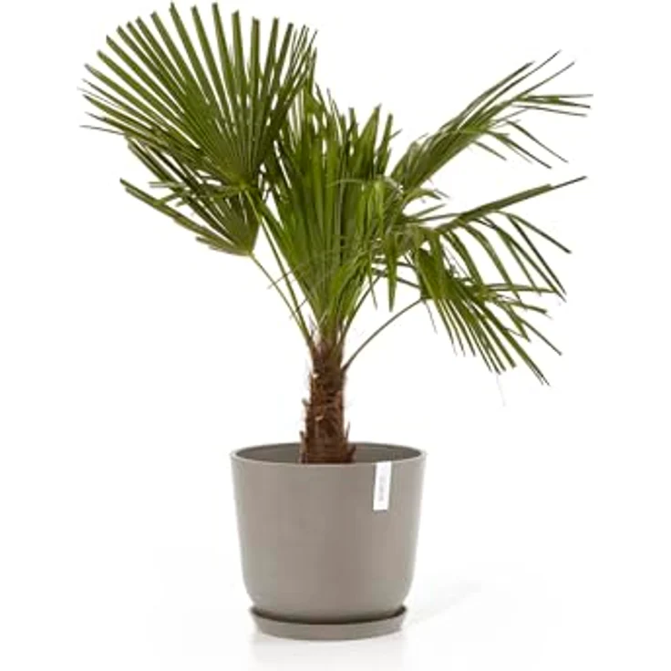 Ecopots Decolines 35 cm Ø Taupe Kunststoff-Blumentöpfe | Wetterfeste Blumentöpfe für Balkon und Terrasse – Bild 9