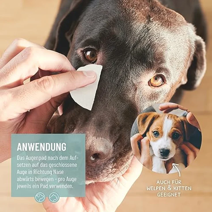 ReaVET Augenpflege Hund 100 Stück – Augenpads Hund I Sanfter Augenreiniger für Hunde, Milde & Schonende Reinigungstücher mit Augentrost, Tränenfleckentferner Hund ohne Reizen, Augen Reinigungspads – Bild 3