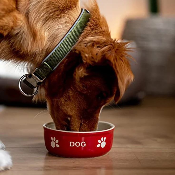 Nobby Hunde Keramiknapf "DOG" rot / beige 13,5 X 13,5 X 5 cm – Bild 3