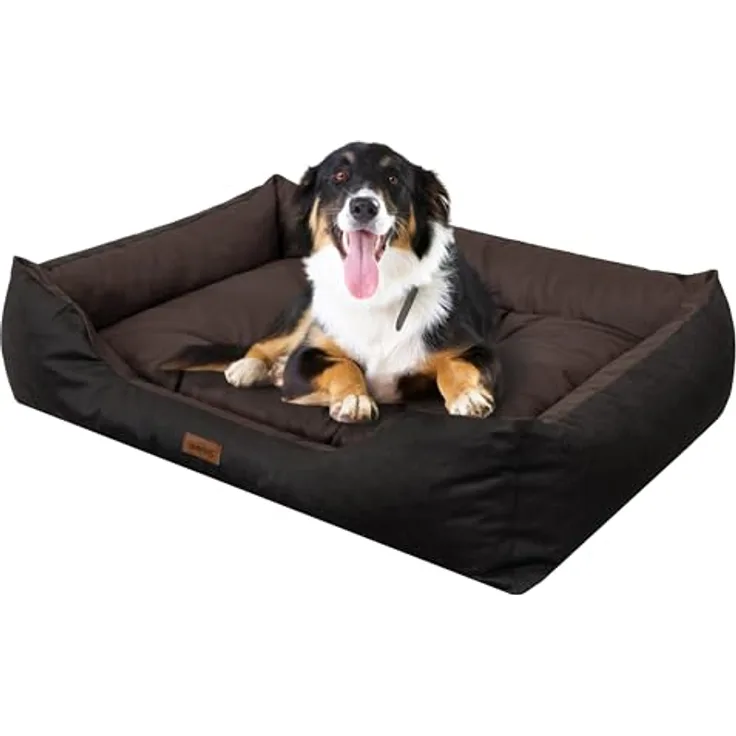 DOGGY Hundebett - Hundekissen für mittelgroße Hunde - Hundekorb - Einfach zu reinigen - erhöhte Ränder, Braun