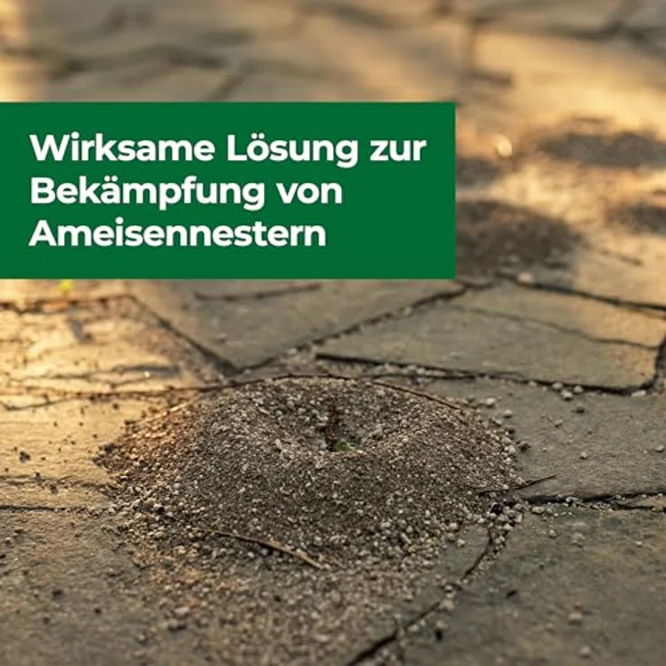 PROTECT HOME Ameisen Nestverschluss, natürliche Bekämpfung von Ameisennestern, 750 ml Flasche, insektizidfreies Lehm-Wasser-Gemisch – Bild 4