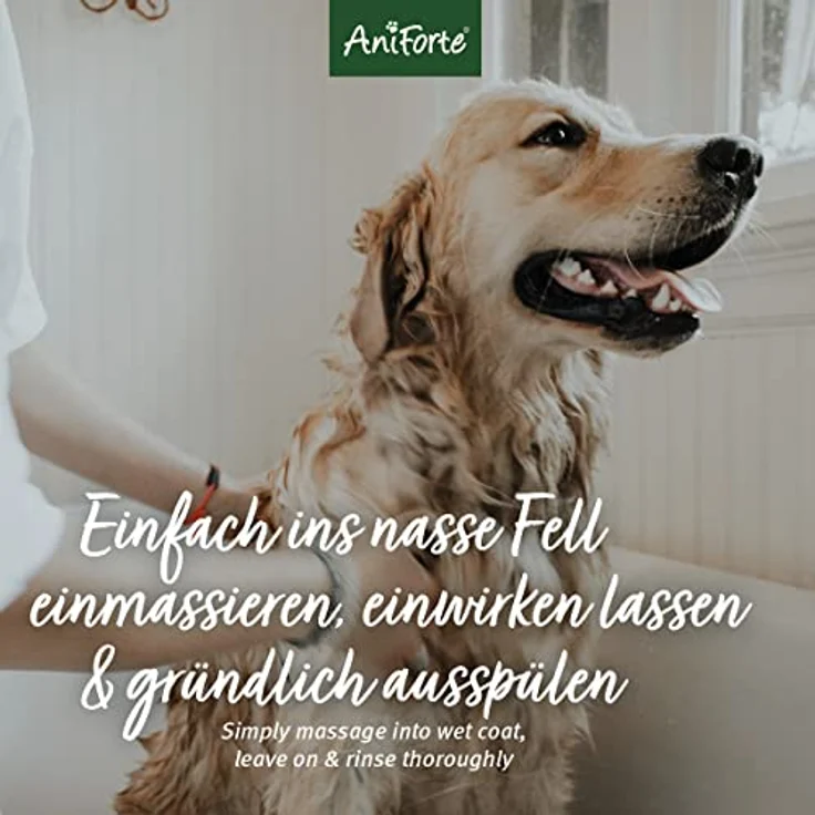AniForte Fellharmonie Hundeshampoo mit Kokosöl & Aloe Vera 200ml – Pflegeshampoo für Hunde, Vitale Haut, Fellglanz, Kämmbarkeit, natürliche Inhaltsstoffe – Bild 4