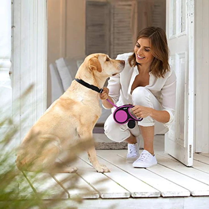 flexi New Comfort L Gurt 5 m blau für Hunde bis 60 kg – Bild 5