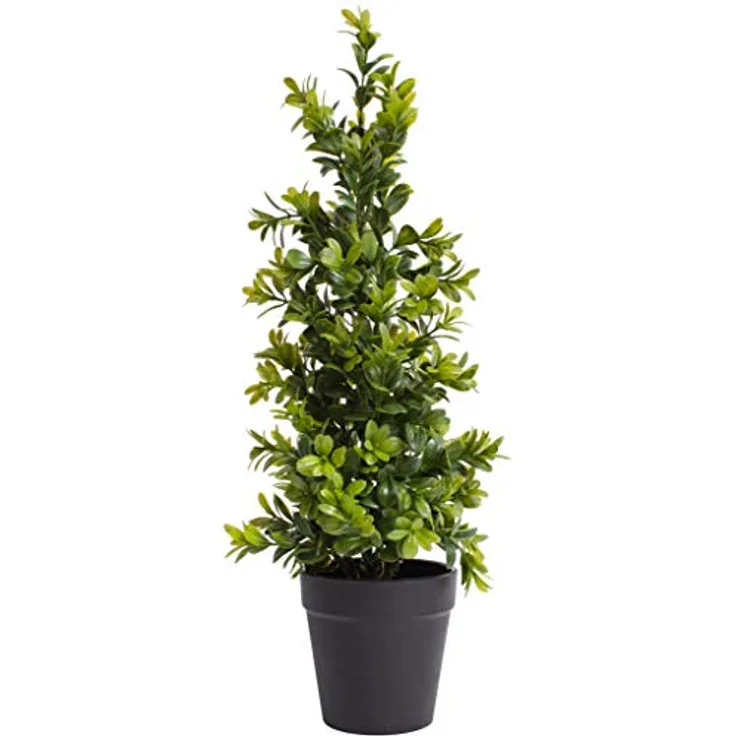 Botanic-Haus Künstliche Zimmerpflanze Buchsbaum im Topf, 42 cm hoch, pflegeleicht und immergrün