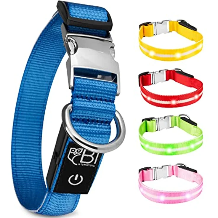 Leuchthalsband für Hunde [Das Original] Leuchtendes LED Hundehalsband zum spazieren gehen auch im Dunkeln- sehr Lange Akkulaufzeit – Sicher Dank hochwertigem Metallverschluss – Bild 1