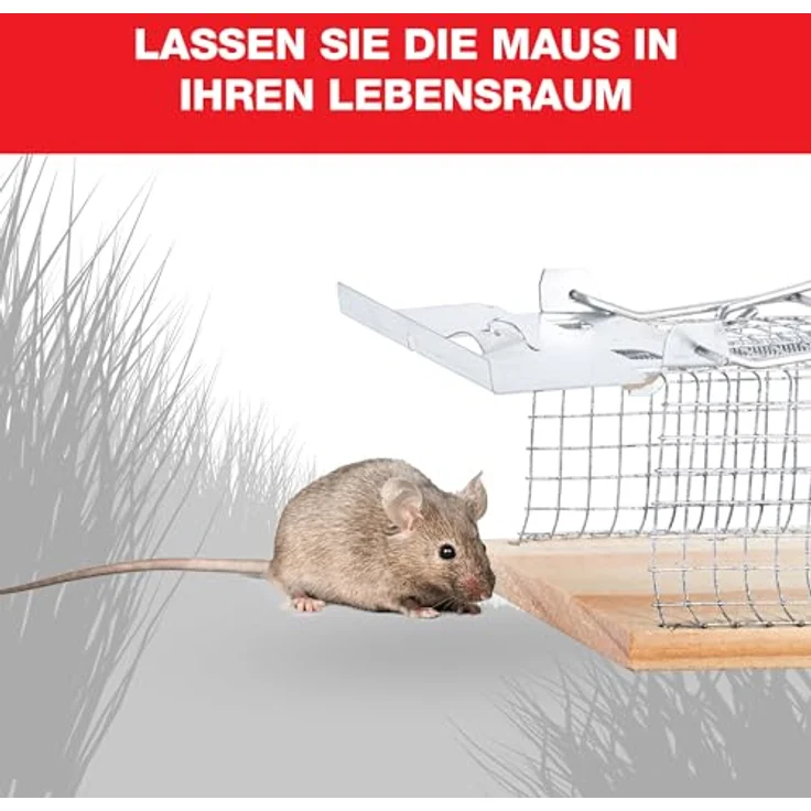 Swissinno Holz-Mauskäfig  – Bild 8