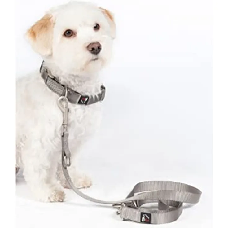 HKM ANAM Cara Hundetrainingsleine Taupe S, verstellbar und komfortabel, einfach zu tragen und zu entfernen