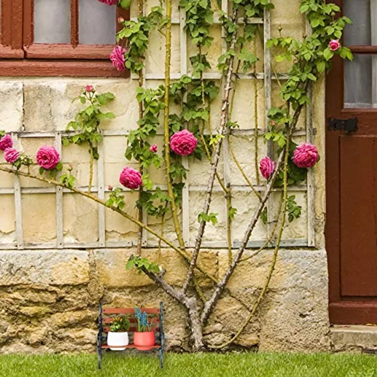 Relaxdays Mini Blumenbank, Gusseisen & Holz, Blumenständer für 2 Blumentöpfe, Ø 7,5 cm, Garten Deko, braun/grau-grün – Bild 5