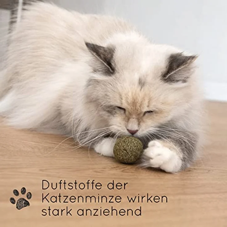 KaraLuna 3X Katzenminze Ball I Katzenminze Spielzeug aus 100% natürlicher Katzenminze getrocknet & gepresst I Katzenspielzeug Katzen Spielzeug Catnip Balls Katze Beschäftigung Fun Ball Katzen – Bild 2