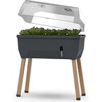 Sammy Salad - Balkonhochbeet - 15 L Wassertank mit Bewässerungssystem - inklusive Wasserstandsanzeige - 40 L Erdvolumen - abnehmbare Haube - 79 x 37 x 95cm - Hochbeet