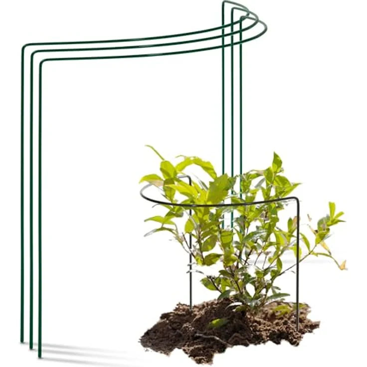 Novatool 3 Strauchstütze halbrund, 40 cm hoch, Ø50 cm, grün, stabiler Staudenhalter für Pflanzenstütze und Rankhilfe, ideal für schwerblütige Pflanzen wie Rosen – Bild 1