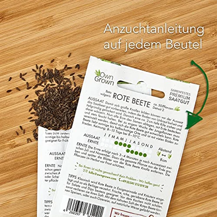 Kopfsalat Samen Salat Samen Zum Anbau Von Ca 500 Salat Pflanzen Bestes: Rote Beete – Bild 6