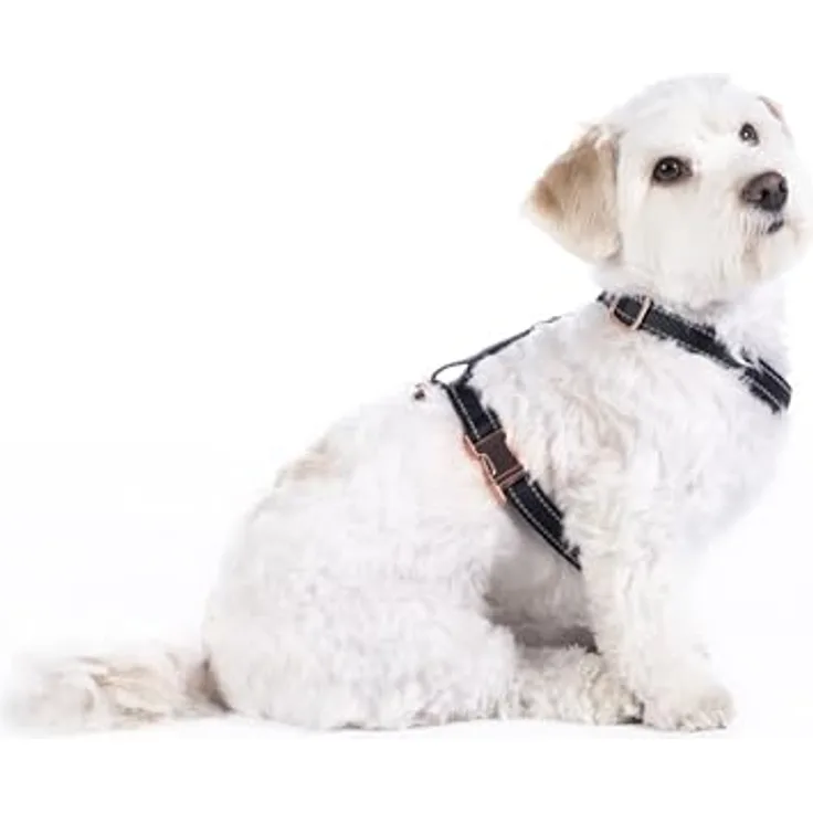 HKM ANAM Cara Hundegeschirr, Schwarz/Rosegold, super weich und bequem, Größe S, mit anpassbarem Gurt und einfachem Verschluss