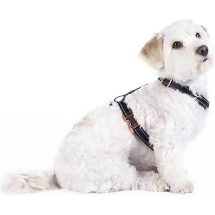 HKM ANAM Cara Hundegeschirr, Schwarz/Rosegold, super weich und bequem, Größe S, mit anpassbarem Gurt und einfachem Verschluss