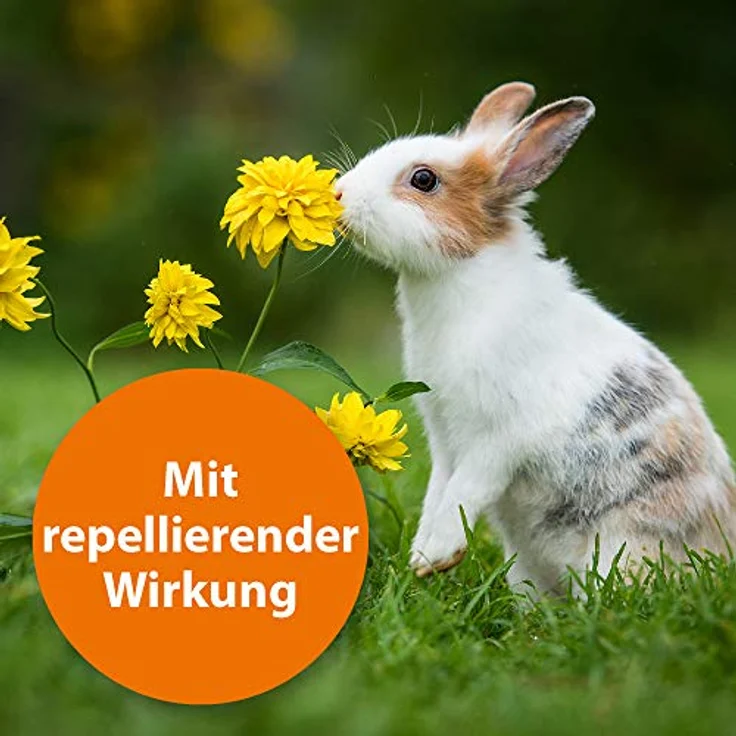 Ardap Insektenspray Spot-On für Kleintiere 1-4 kg, 3 x 0.4 ml, mit natürlichem Pyrethrum gegen Flöhe und Zecken – Bild 3