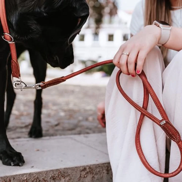 Hunter Tierbedarf Hundeleine Führleine Round & Soft Canadian Up cognac - Premiumleder aus ökologischer Herstellung, reißfeste Nyloneinlage, Made in Germany – Bild 6