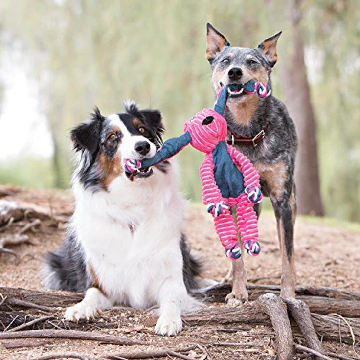 KONG – Floppy Knots Fox – Innere Geknotete Seile und Minimale Füllung für Weniger Unordnung – Für Kleine/Mittelgroße Hunde – Bild 2