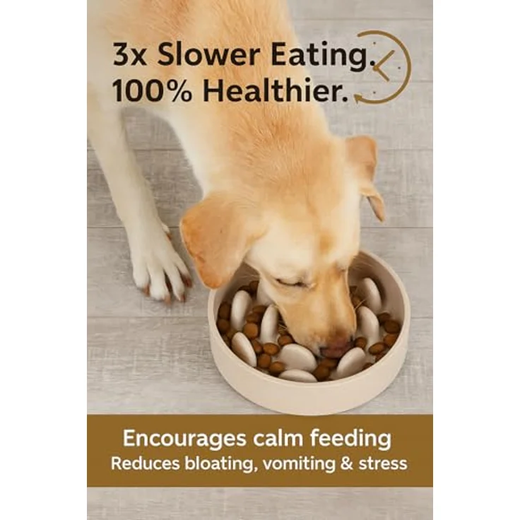 Flamingo Greni Anti Schling Napf für Hunde und Katzen, Ø14,5cm, 410ml, beige, aus Bambus-Kunststoff, rutschfest, fördert langsames Fressen – Bild 2