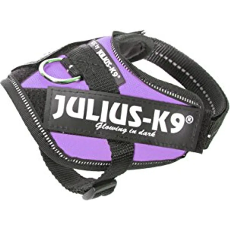 Julius-K9 IDC Powergeschirr Lila, Hochwertiges Brustgeschirr für Hunde mit vielen Funktionen und Erweiterungsmöglichkeiten, inklusive Halsband + Leine