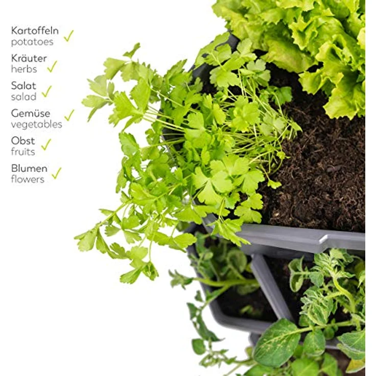 GUSTA GARDEN Paul Potato Starter Kartoffelturm - stapelbar - Hochbeet/Pflanzgefäß/Blumentopf für Balkon, Garten und Terrasse (4 Etagen, Blau) inkl. Untersetzer – Bild 2