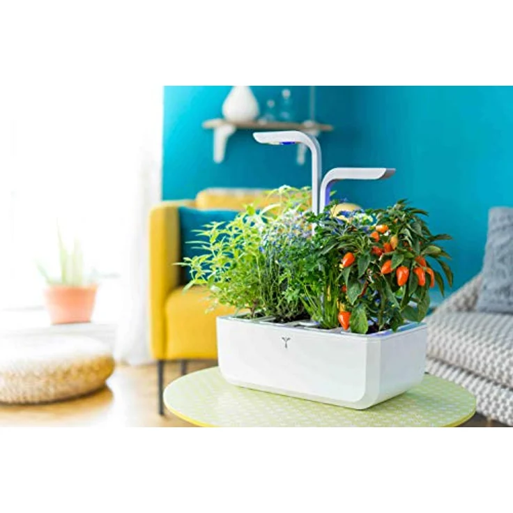 Veritable Anzuchttopf Véritable SMART, Indoor-Garten mit Adapt'Light LED-Technologie für 4 Pflanzen, bis zu 4 Wochen autonom – Bild 6