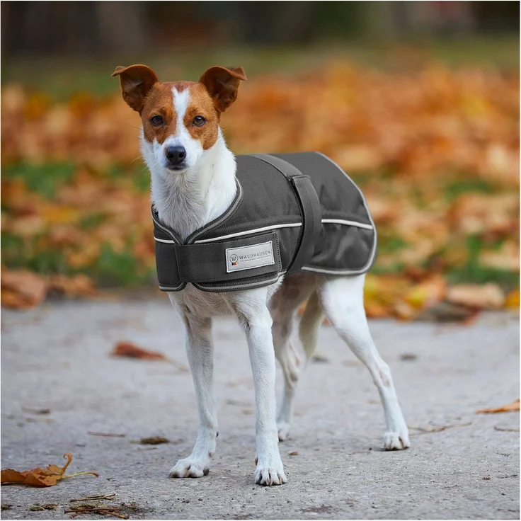 Waldhausen Hundemantel Comfort Line, wasserdichte Hundedecke mit 200g Thermofüllung und strapazierfähigem 1200 Denier Außenmaterial, Größe 35-65 cm – Bild 1