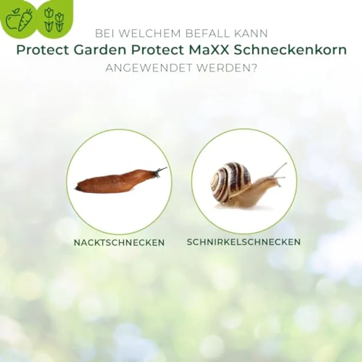 Bayer SchneckenkornProtectMaXX 1 kg – Bild 4