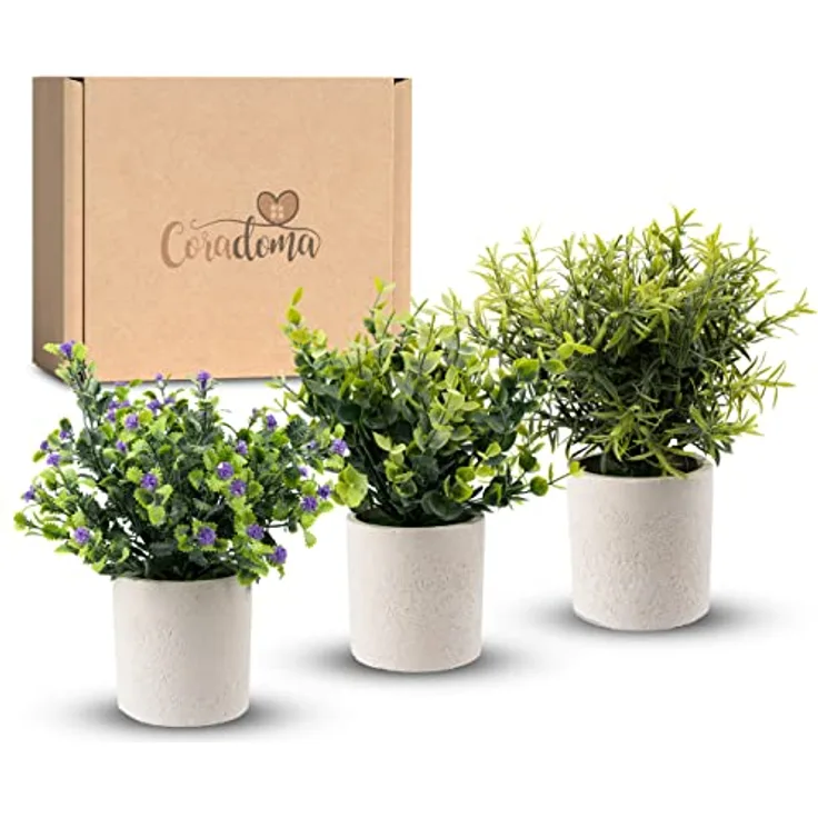 Coradoma Künstliche Pflanzen 3er Set Dekoration Kunstpflanzen im weißen Topf | Wohnzimmer Deko modern Küchendeko | Kunstblume Sukkulente Fensterbank Schreibtisch Wanddeko Büro Schlafzimmer - Preisvergleich