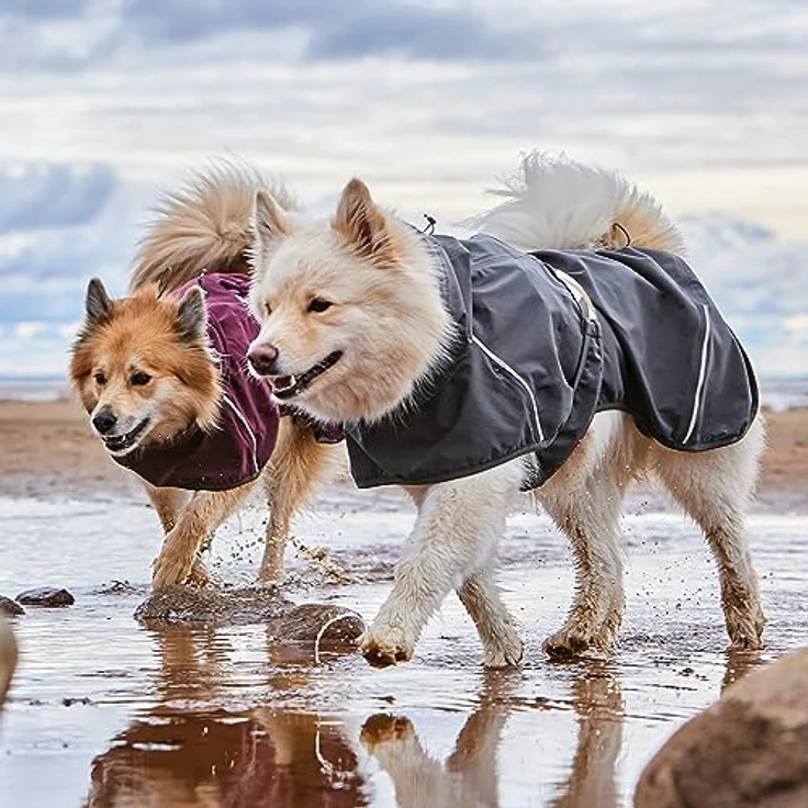 Hurtta Mudventure Hundemantel ECO Regenjacke für Hunde (Eggplant, 65) mit wassersäule über 10 000 mm – Bild 3